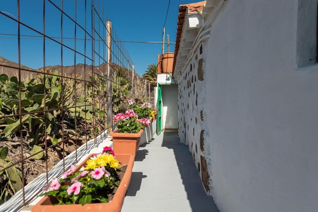 Vivienda Vacacional Ca' Pepita Y Jose El Albercon Extérieur photo